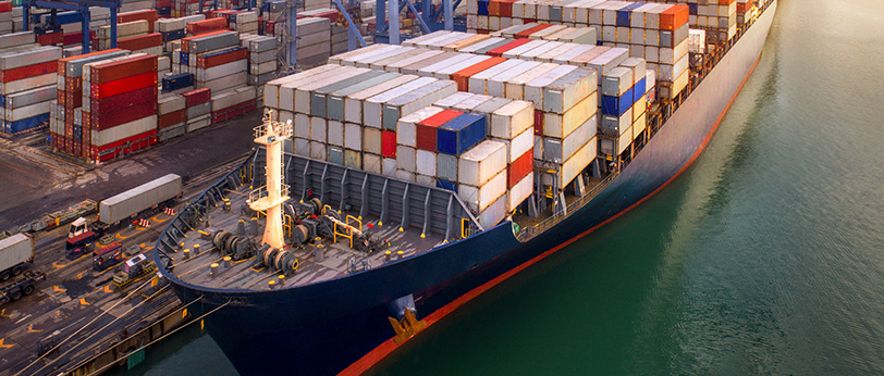 Yard Customs Clearance Team